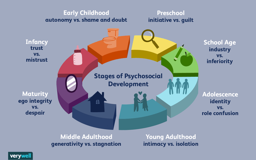 Erik Erikson - Stages of psychosocial development